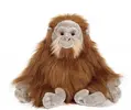 Orangutan