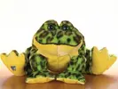 Skokan volský