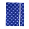Obal na diář Blue