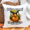 Nečum na mě - zelený ptáček