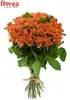 Kytice 35 oranžových růží Arancio (60 cm)