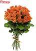 Kytice 25 oranžových růží Arancio (60 cm)