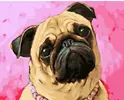 Mops