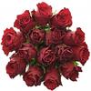 Kytice 15 růží Madam Red (50 cm)