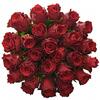 Kytice 25 růží Madam Red (50 cm)