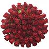 Kytice 55 růží Madam Red (50 cm)