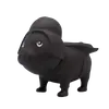 Černá hvězda