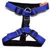 Postroj Torronto nylon Sun | Velikost: 40-50 cm | Tmavě modrá