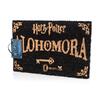 Harry Potter: Alohomora | Velikost: 60 x 40 cm