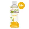 Raw kokosová voda s ananasovým džusem, 16 ks
