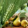 Hruška a mladý ječmen, 200 g | Typ: Klasické