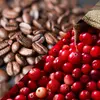 Káva a brusinky, 200 g | Typ: Klasické