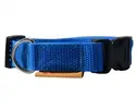 Obojek - šíře 2 cm | Velikost: Délka 38 cm | Modrá