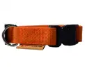Obojek - šíře 2 cm | Velikost: Délka 38 cm | Oranžová