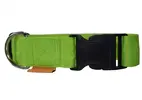 Obojek - šíře 4 cm | Velikost: Délka 40-60 cm | Neon