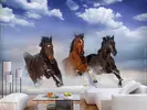 Fototapeta Koně v pohybu | Rozměr: M