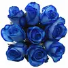 Kytice 9 Blue Snowstorm (50 cm)