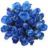 Kytice 21 růží Blue Snowstorm (50 cm)