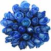 Kytice 25 růží Blue Snowstorm (50 cm)
