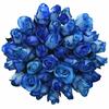 Kytice 35 růží Blue Snowstorm (50 cm)