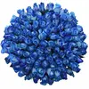 Kytice 100 růží Blue Snowstorm (50 cm)