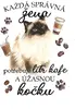 Ragdoll kočka