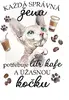 Kočka Sphynx