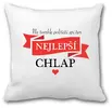 Zamilovaný polštář "Nej chlap"
