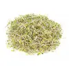 Brokolice – semena na klíčky, 10 g