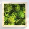 Hranatý obraz s rôznymi druhmi machov ručne vyrobený na Slovensku | Rozmer: 30 x 30 cm | (svetlohnedá)