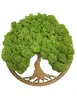 Machový obraz Simple Walnut "Strom života" (20 cm) | Typ: Rám orech