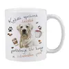 Labrador