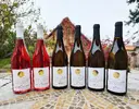 6 x 0,75 l Kartón vín z nitrianskeho vinárstva Bíro (polosladké a sladké vína)