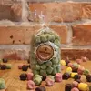 Marshmallow obalované v čokoládě - Zelený ječmen