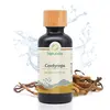 Cordyceps