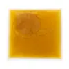 SCOBY startovací nálev - green