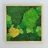 Hranatý obraz s rôznymi druhmi machov ručne vyrobený na Slovensku (svetlohnedá) | Rozmer: 30 x 30 cm