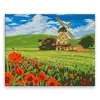 Kouzelný mlýn v poli máků 50 × 40 cm