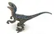 Velociraptor (modrý pruh)