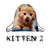 Kitten 2