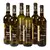 2x Müller Thurgau, 2x Ryzlink Rýnský, 2x Chardonnay