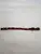 Obojek popruh 35 cm x 16 mm