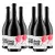 Set 6 lahví "Vino Libre" bio Garnacha