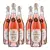 Set 6 lahví Casa Marrone BIO Rosato