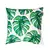 Monstera Leaves