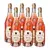 Set 6 lahví Casa Marrone bio Rosato