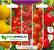 Balíček semínek - Tyčová rajčata (5 druhů - 50 semen)