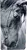 Velká - koně