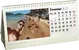 Fotokalendář stolní měsíční
