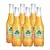 6× limonáda s příchutí manga (370 ml)